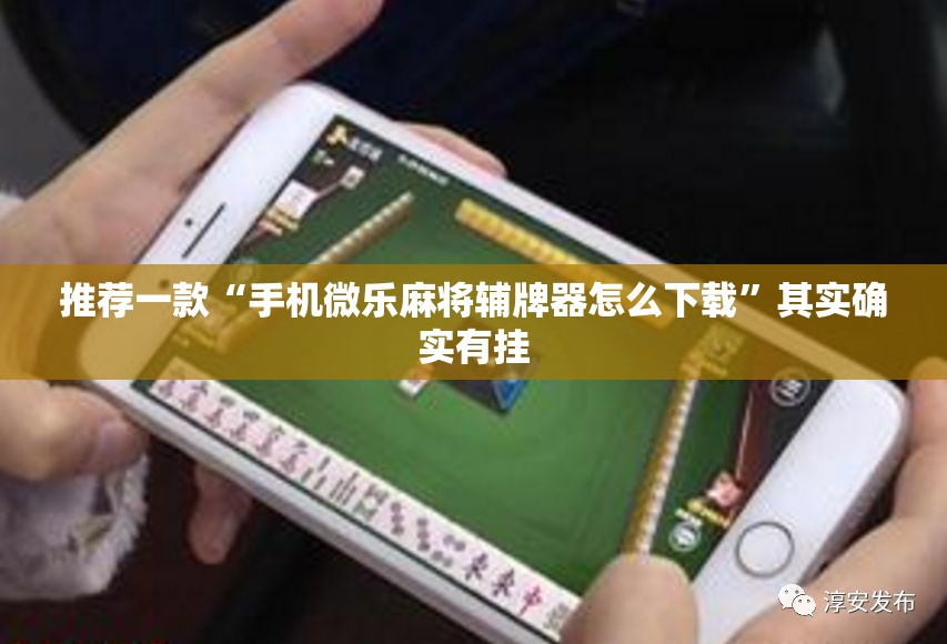 推荐一款“手机微乐麻将辅牌器怎么下载”其实确实有挂