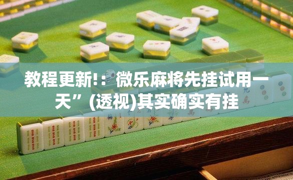 教程更新!：微乐麻将先挂试用一天”(透视)其实确实有挂
