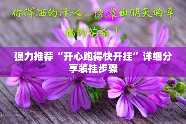 强力推荐“开心跑得快开挂”详细分享装挂步骤