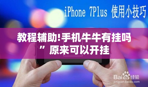 教程辅助!手机牛牛有挂吗”原来可以开挂