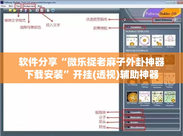 软件分享“微乐捉老麻子外卦神器下载安装”开挂(透视)辅助神器