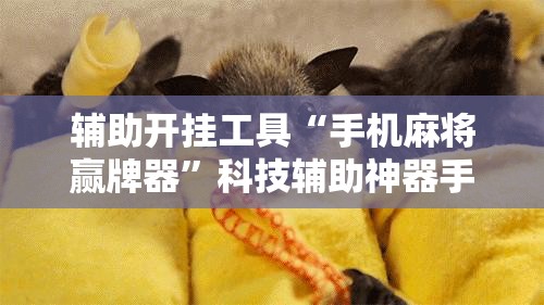 辅助开挂工具“手机麻将赢牌器”科技辅助神器手机版