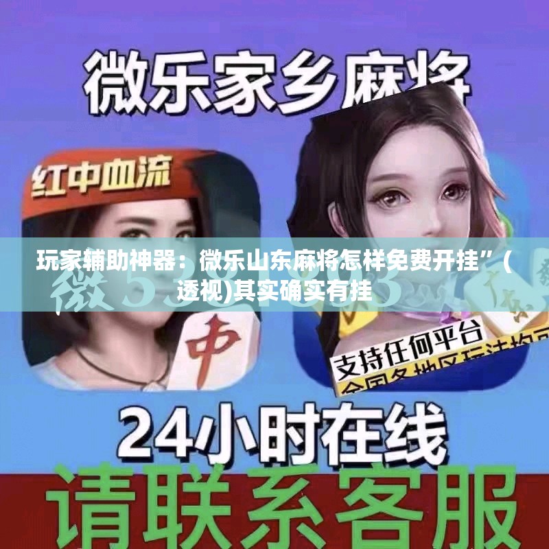 玩家辅助神器：微乐山东麻将怎样免费开挂	”(透视)其实确实有挂