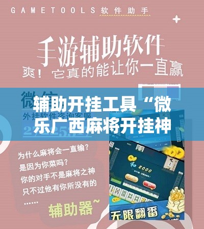 辅助开挂工具“微乐广西麻将开挂神器	”详细开挂教程