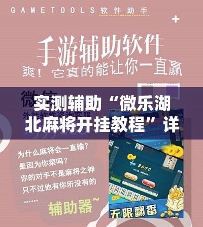 实测辅助“微乐湖北麻将开挂教程	”详细开挂教程