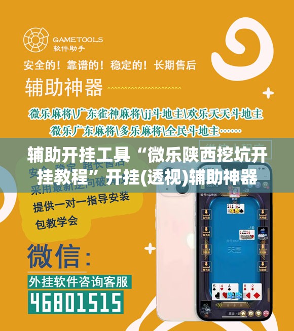 辅助开挂工具“微乐陕西挖坑开挂教程”开挂(透视)辅助神器