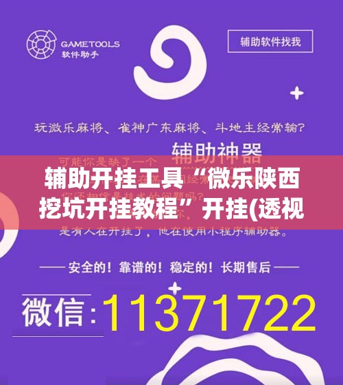 辅助开挂工具“微乐陕西挖坑开挂教程	”开挂(透视)辅助神器