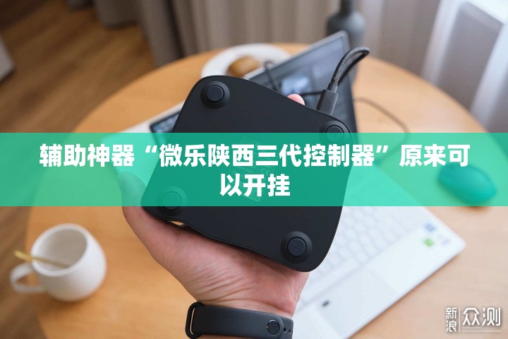 辅助神器“微乐陕西三代控制器	”原来可以开挂