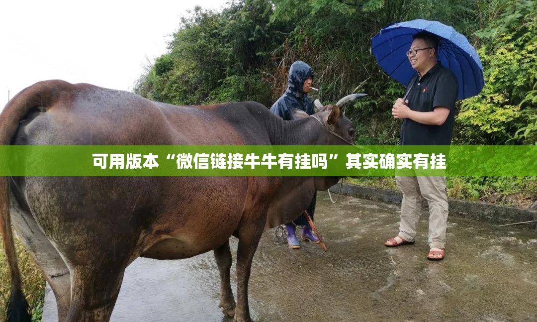 可用版本“微信链接牛牛有挂吗”其实确实有挂