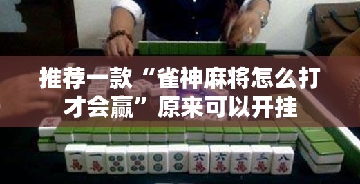 推荐一款“雀神麻将怎么打才会赢”原来可以开挂