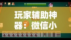 玩家辅助神器：微信小程序微乐麻将开挂神器下载”详细分享装挂步骤