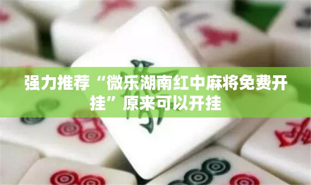 强力推荐“微乐湖南红中麻将免费开挂”原来可以开挂