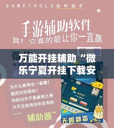 万能开挂辅助“微乐宁夏开挂下载安装”2026开挂教程步骤