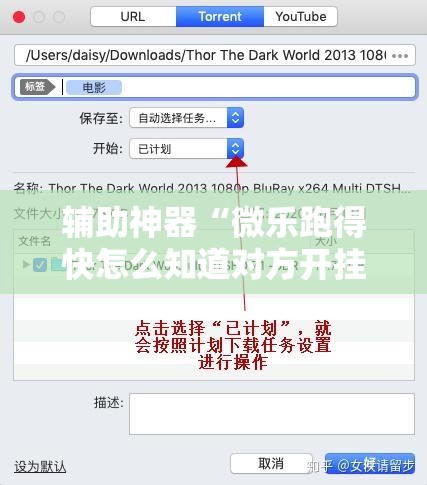 辅助神器“微乐跑得快怎么知道对方开挂”详细外挂透视辅助软件教程