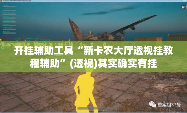 开挂辅助工具“新卡农大厅透视挂教程辅助”(透视)其实确实有挂