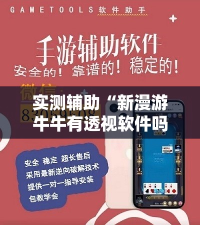 实测辅助“新漫游牛牛有透视软件吗”详细外挂透视辅助软件教程