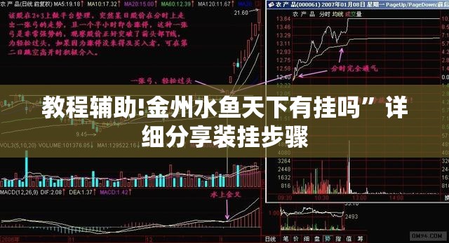 教程辅助!金州水鱼天下有挂吗”详细分享装挂步骤
