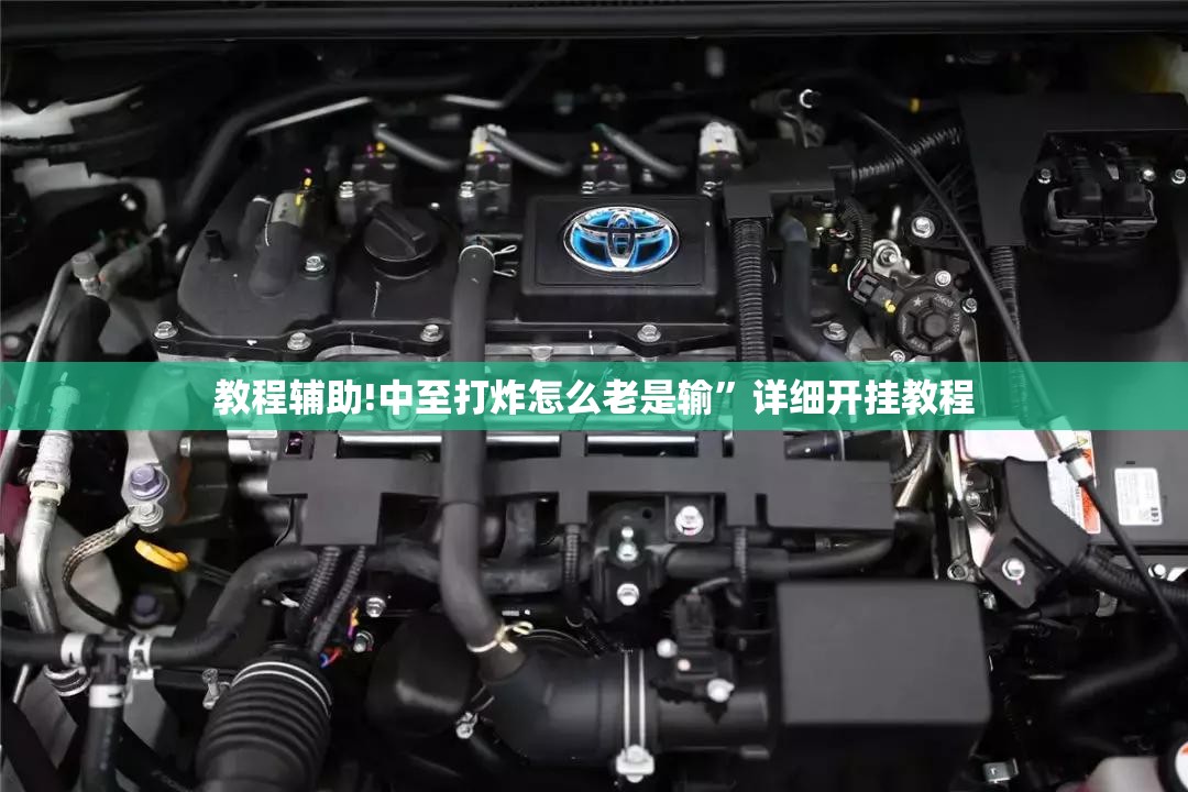教程辅助!中至打炸怎么老是输”详细开挂教程