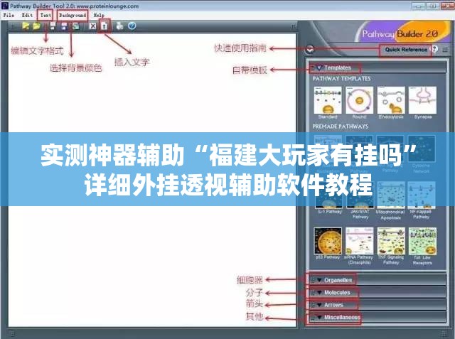 实测神器辅助“福建大玩家有挂吗	”详细外挂透视辅助软件教程