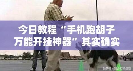今日教程“手机跑胡子万能开挂神器”其实确实有挂