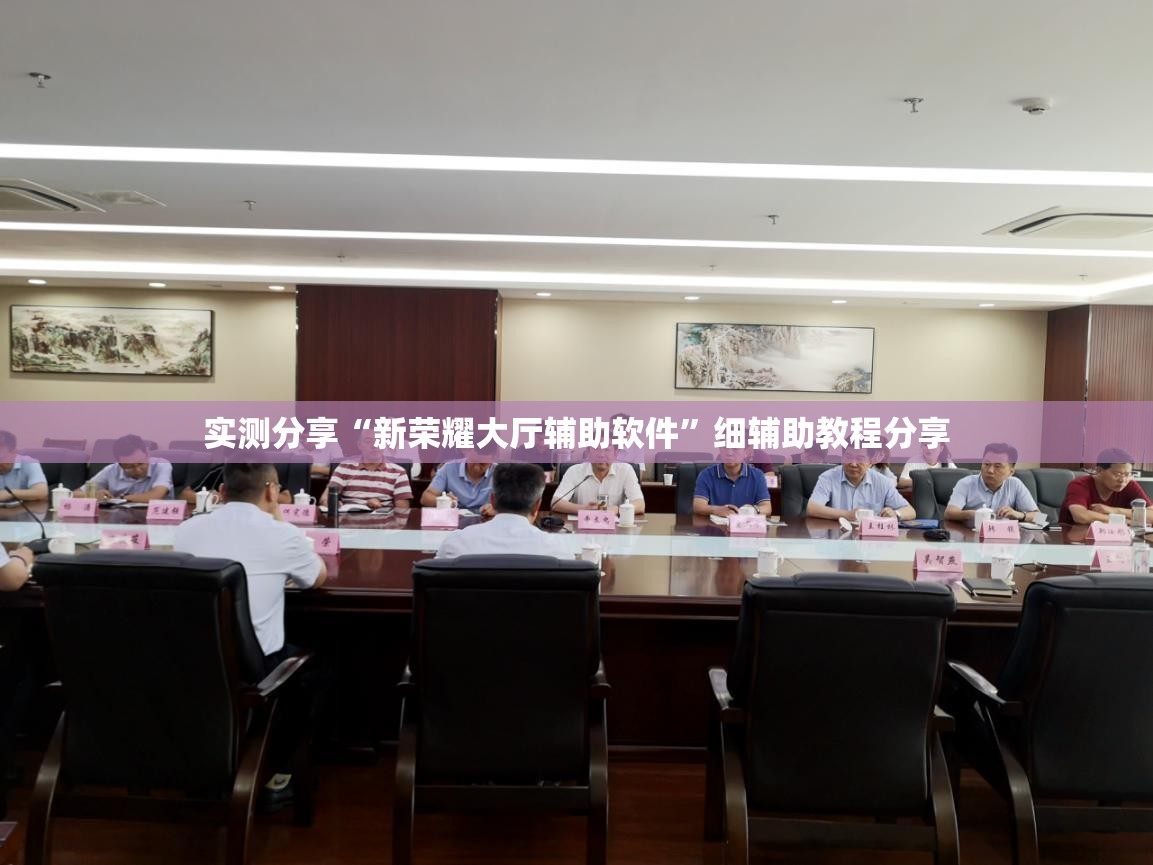 实测分享“新荣耀大厅辅助软件”细辅助教程分享