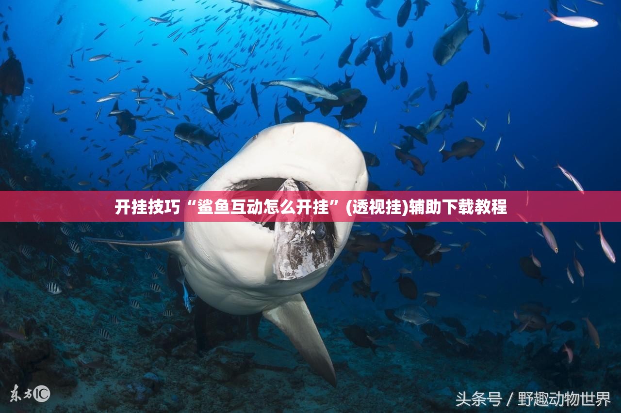 开挂技巧“鲨鱼互动怎么开挂	”(透视挂)辅助下载教程