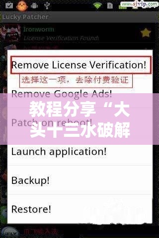 教程分享“大头十三水破解器	”详细分享装挂步骤
