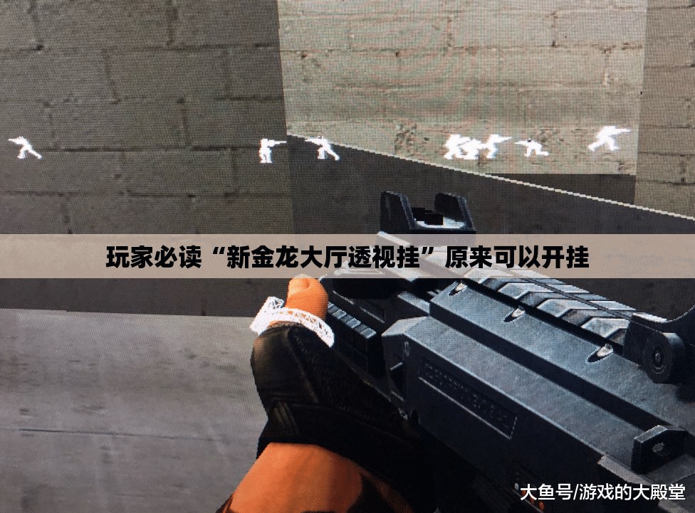 玩家必读“新金龙大厅透视挂”原来可以开挂