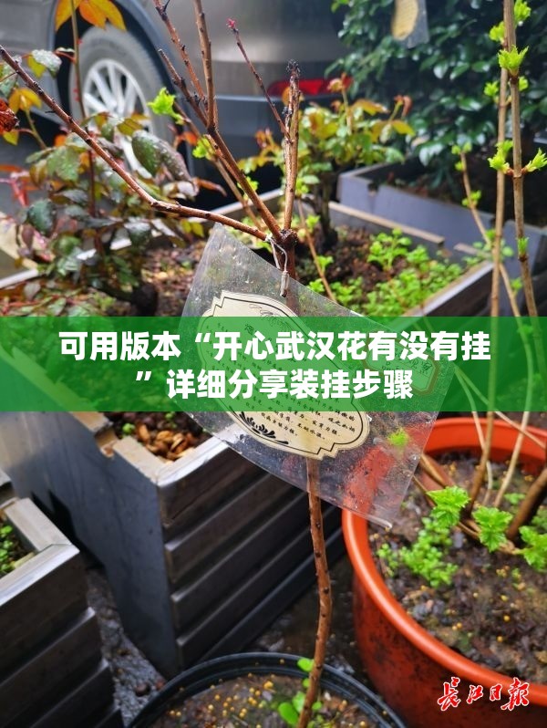 可用版本“开心武汉花有没有挂”详细分享装挂步骤