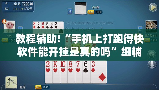 教程辅助!“手机上打跑得快软件能开挂是真的吗”细辅助教程分享