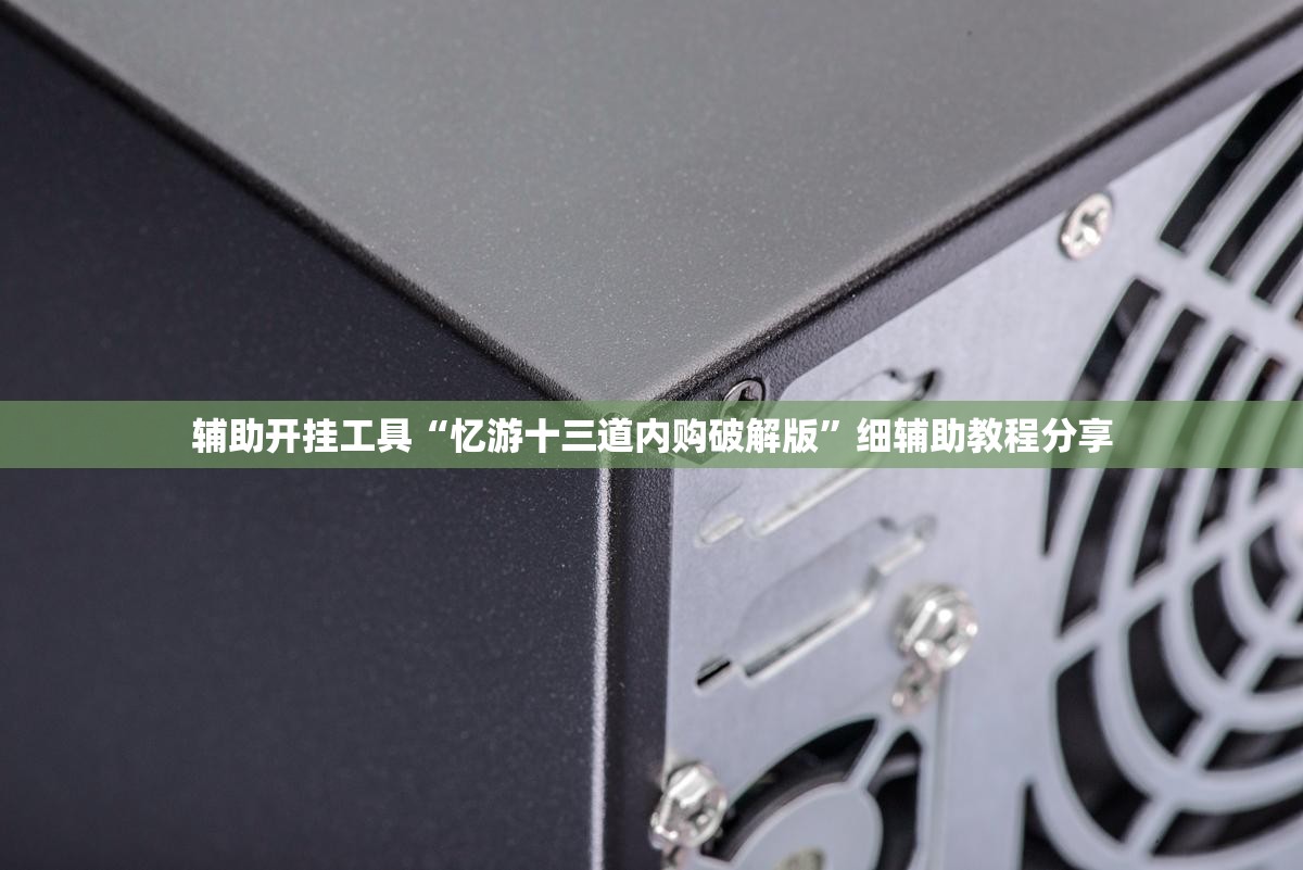 辅助开挂工具“忆游十三道内购破解版	”细辅助教程分享