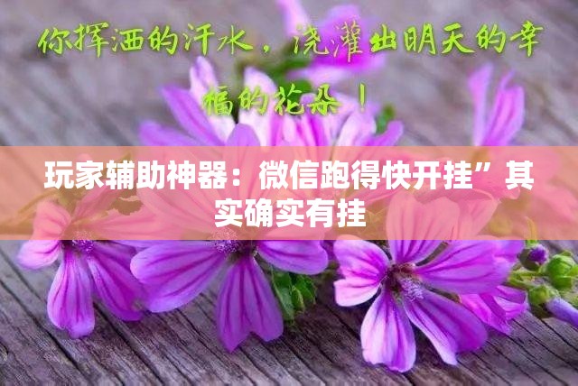 玩家辅助神器：微信跑得快开挂”其实确实有挂