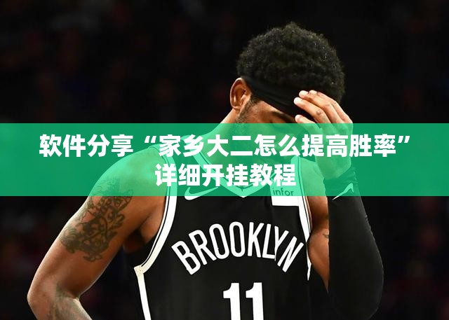 软件分享“家乡大二怎么提高胜率”详细开挂教程