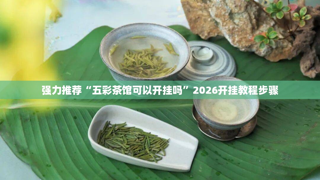 强力推荐“五彩茶馆可以开挂吗”2026开挂教程步骤