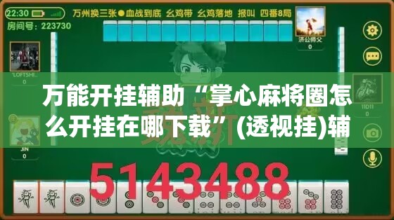万能开挂辅助“掌心麻将圈怎么开挂在哪下载”(透视挂)辅助下载教程