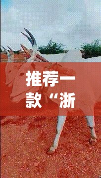 推荐一款“浙江游戏大厅开挂神器”开挂(透视)最新辅助详细