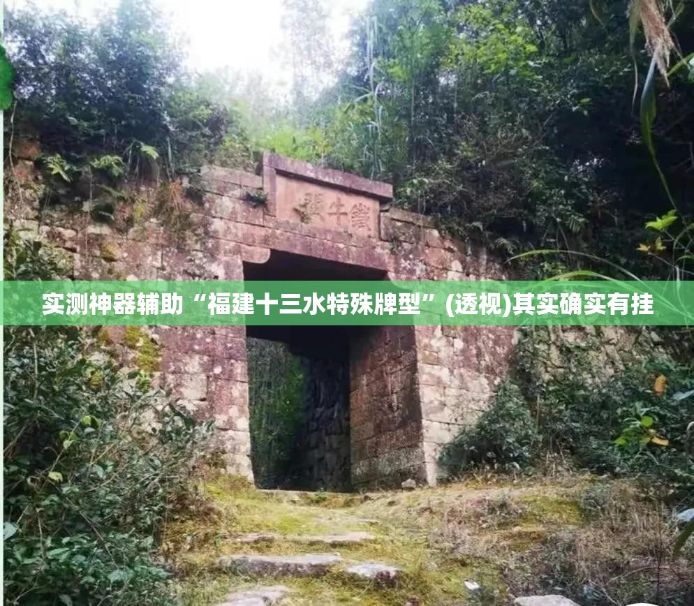 实测神器辅助“福建十三水特殊牌型	”(透视)其实确实有挂