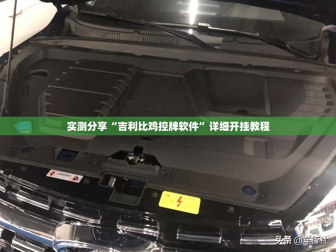 实测分享“吉利比鸡控牌软件”详细开挂教程