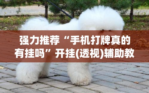 强力推荐“手机打牌真的有挂吗”开挂(透视)辅助教程