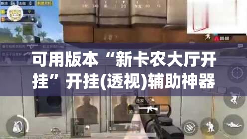 可用版本“新卡农大厅开挂”开挂(透视)辅助神器