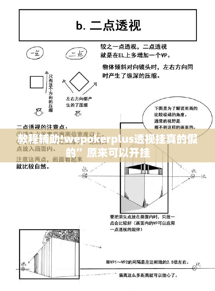 教程辅助!wepokerplus透视挂真的假的	”原来可以开挂