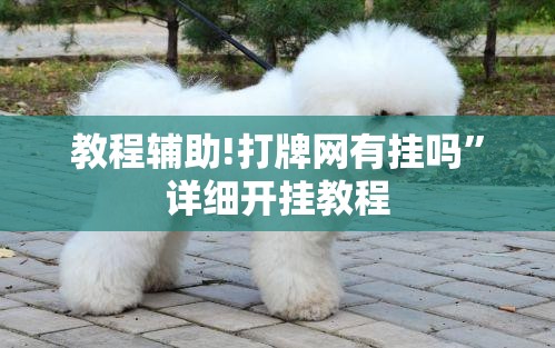 教程辅助!打牌网有挂吗”详细开挂教程