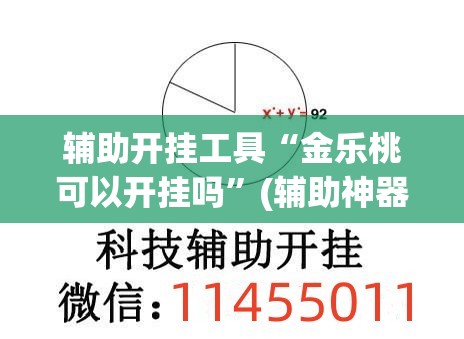 辅助开挂工具“金乐桃可以开挂吗”(辅助神器)开挂详细教程