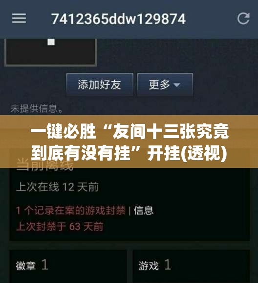 一键必胜“友间十三张究竟到底有没有挂”开挂(透视)辅助神器
