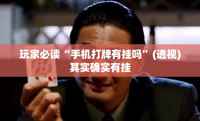 玩家必读“手机打牌有挂吗”(透视)其实确实有挂