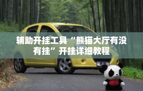 辅助开挂工具“熊猫大厅有没有挂”开挂详细教程