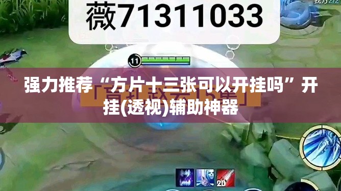强力推荐“方片十三张可以开挂吗”开挂(透视)辅助神器