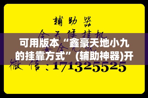 可用版本“鑫豪天地小九的挂靠方式	”(辅助神器)开挂详细教程