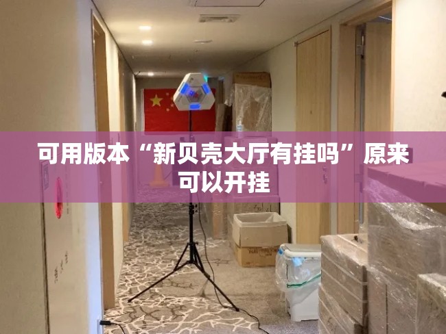 可用版本“新贝壳大厅有挂吗”原来可以开挂