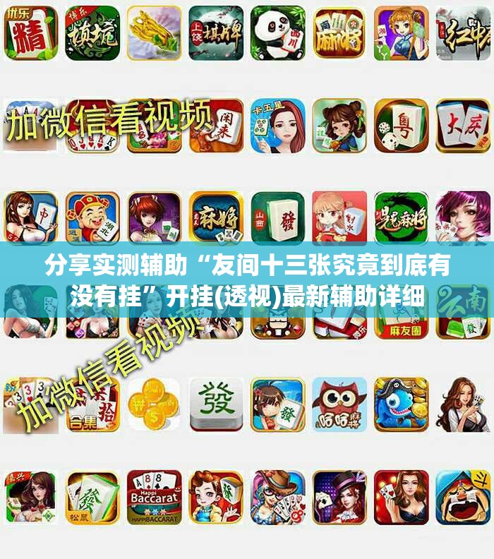 分享实测辅助“友间十三张究竟到底有没有挂”开挂(透视)最新辅助详细